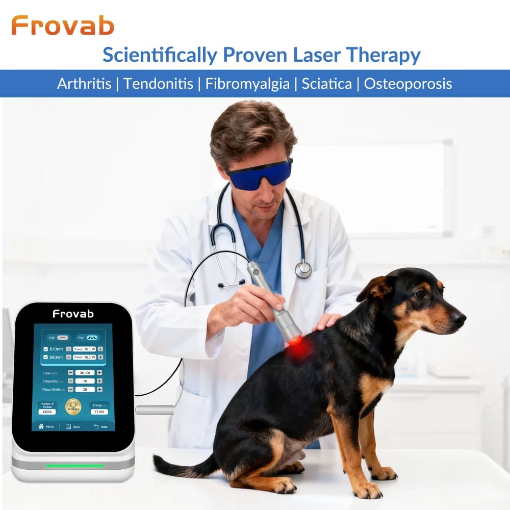 Frovab 30W 클래스4 레이저 치료기 810nm 980nm 통증 완화