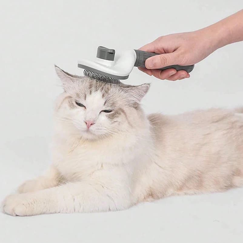 반려동물 고양이 강아지 털 제거 빗