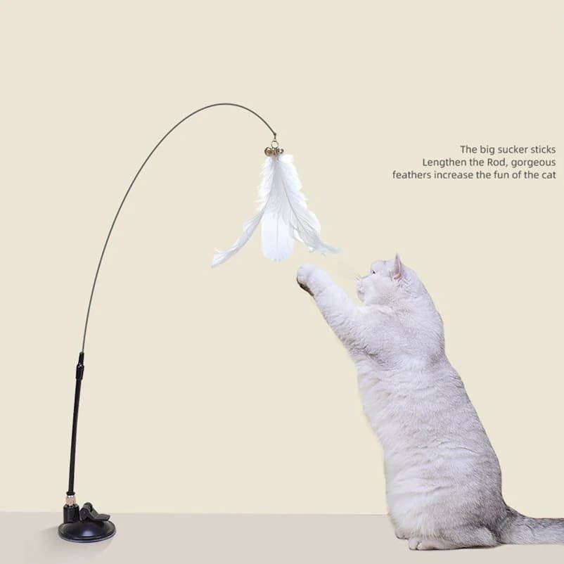 Cat Toy Feather Stick Interactive Toy Super Suction Kitten Toy Cup Removable 2 Feather Replacement Cat Accessories