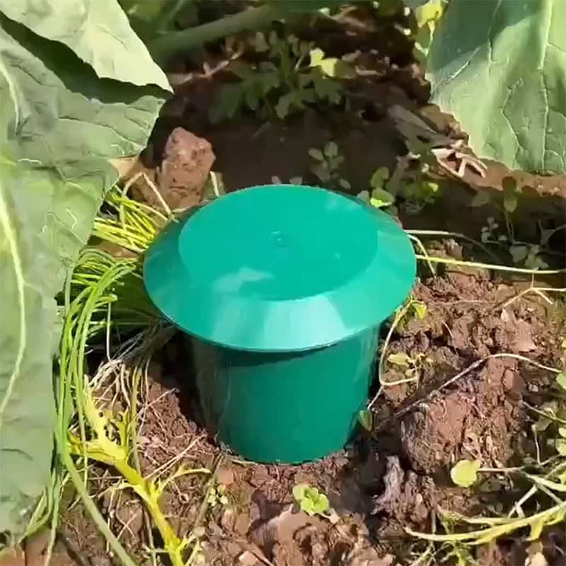 Safe Plastic Cage Snail Trap Garden Garden Slug Trap Durable High-quality Snail Cage Insect Trap For Vegetables And Flowers