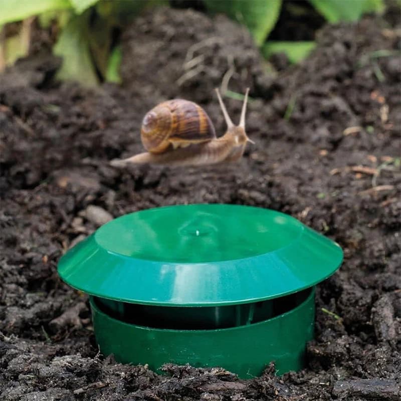 1/5pcs [high-quality Snail Trap] Durable High-quality Snail & Slug Insect Traps -safe Plastic Cage For Vegetables And Flowers