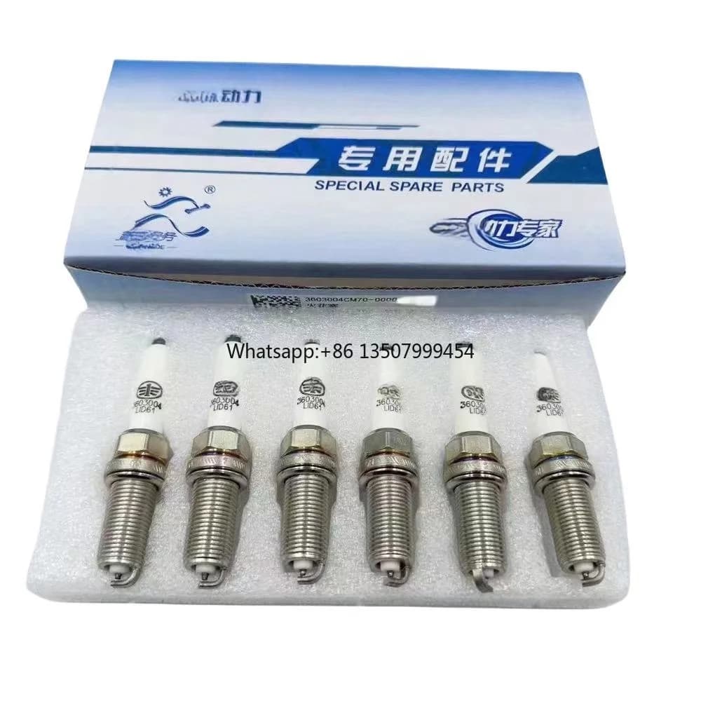 점화플러그 OEM 3603004CM70-0000 CNG 대형 트럭용